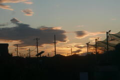 晩秋の 夕陽 ―2