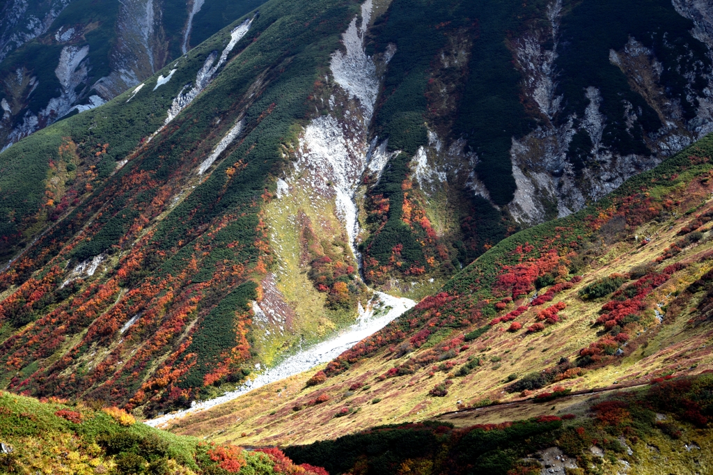 立山・室堂でー４
