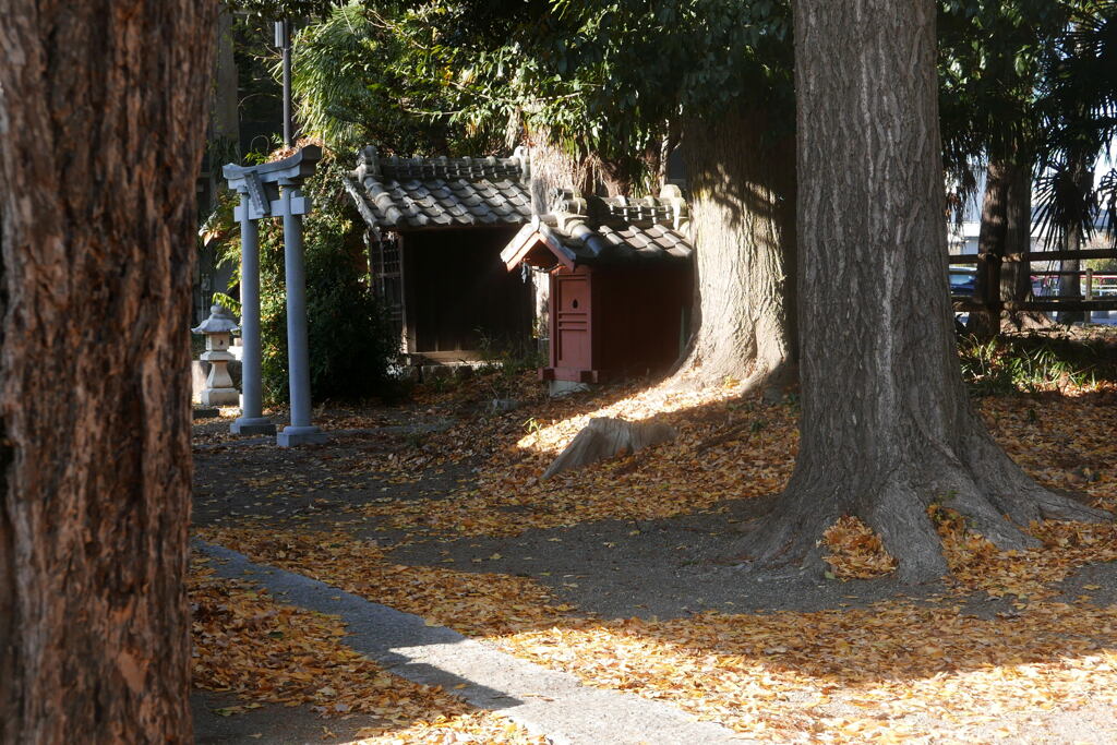 季節は 移る ―2