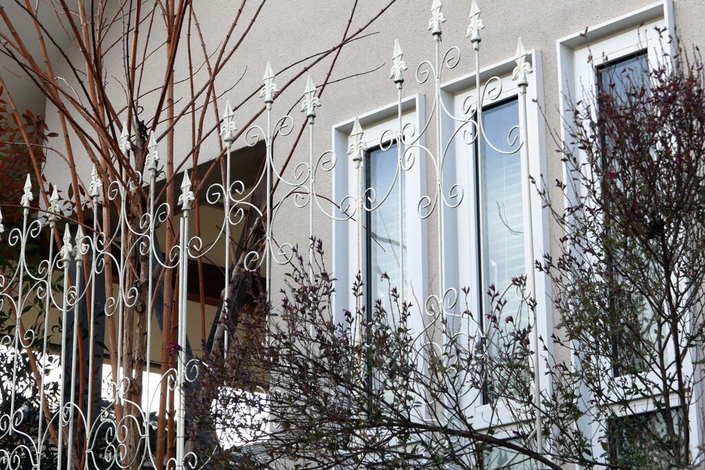  冬の光りを受けて ―2