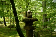 新緑の永観堂’（京都）－4