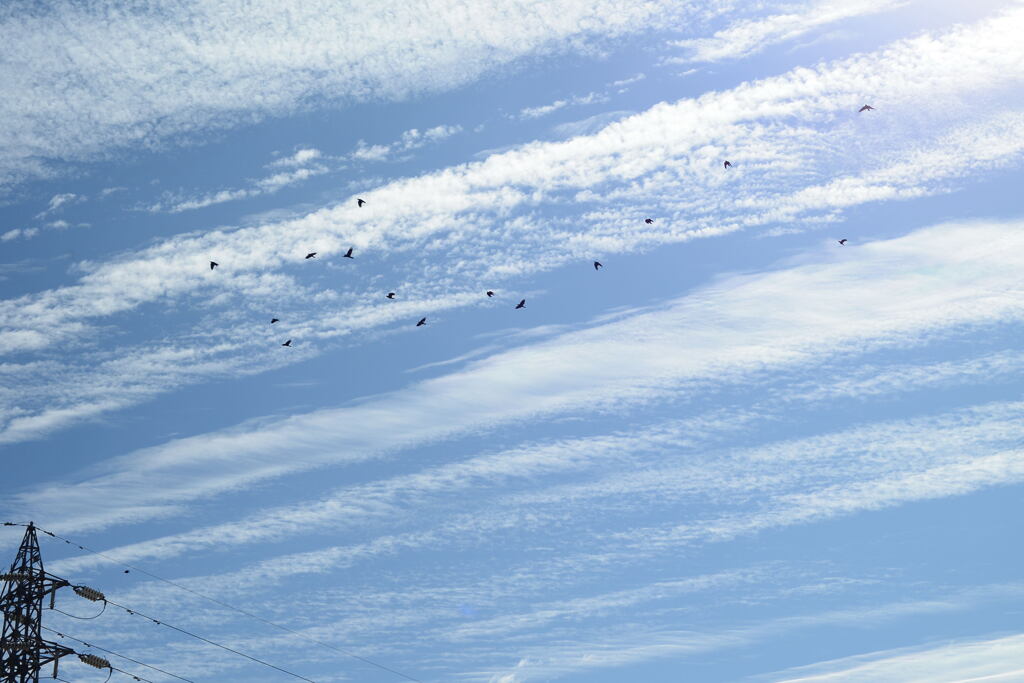 朝 空