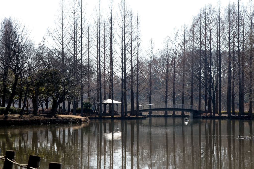 待ち遠しい春ー1