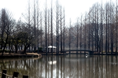 待ち遠しい春ー1