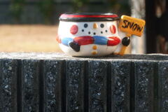 塀の隙間から こんにちわ ―1