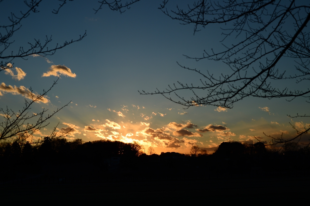 見沼の日暮れー2