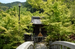 新緑の永観堂（京都）－6