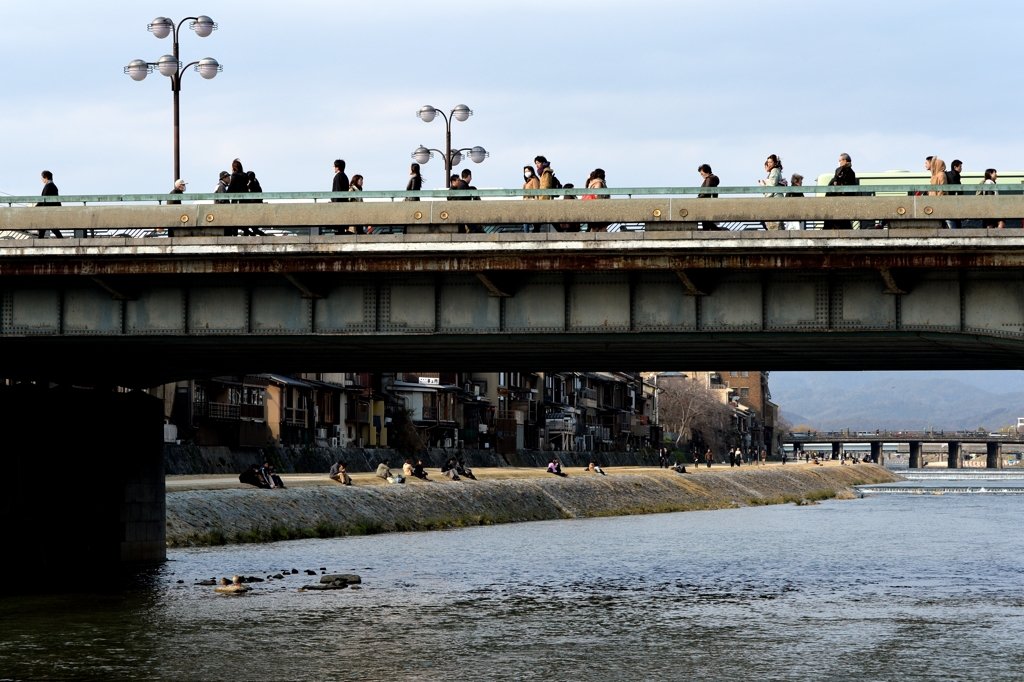 鴨川・四条ー2
