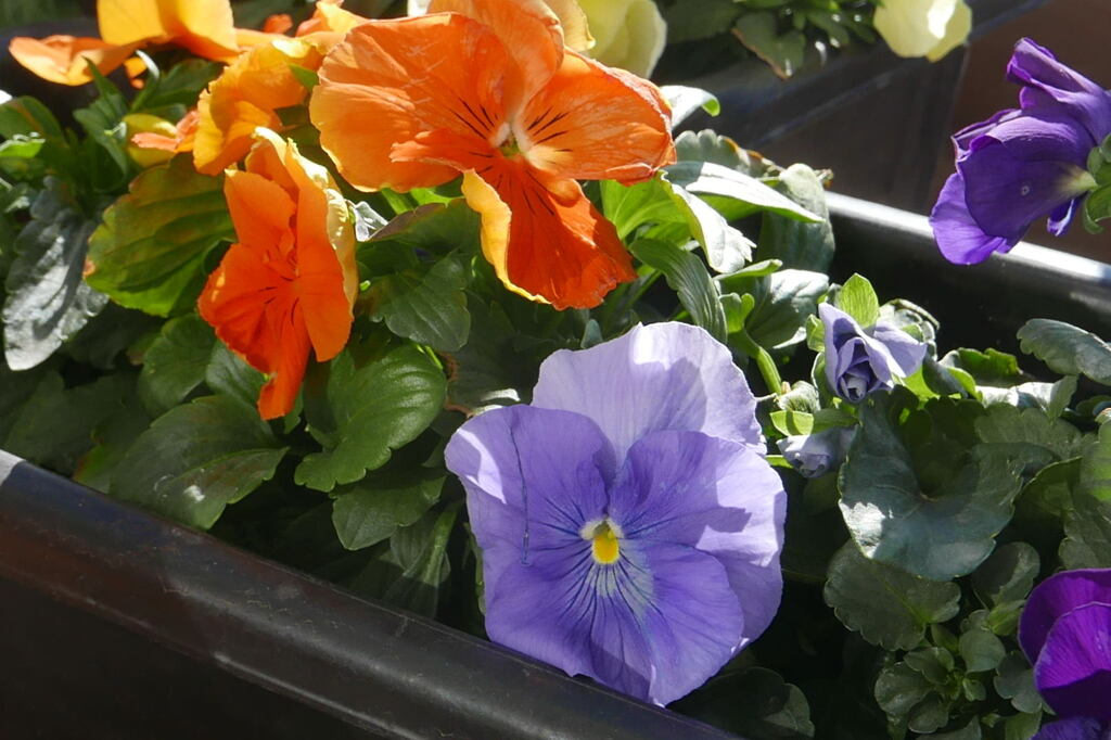  暖かさが 一番 ―1