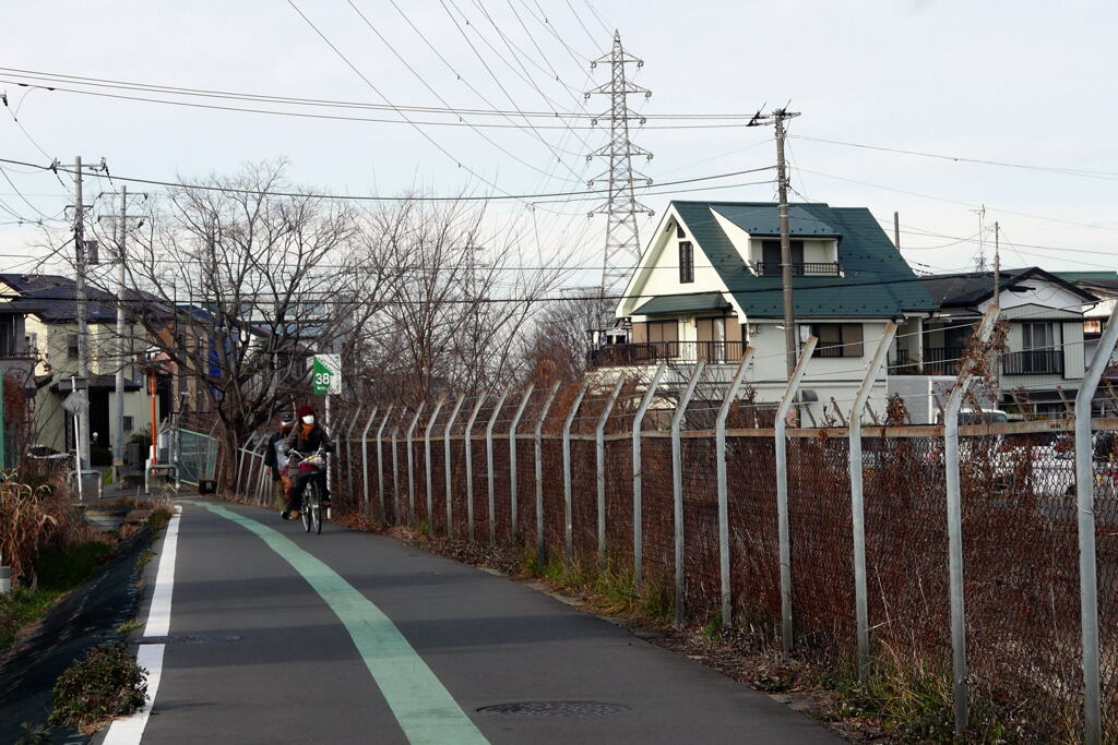 　冬の用水縁  ―1