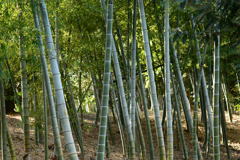 冬の明り-2