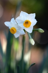 平穏な年明けーＡ