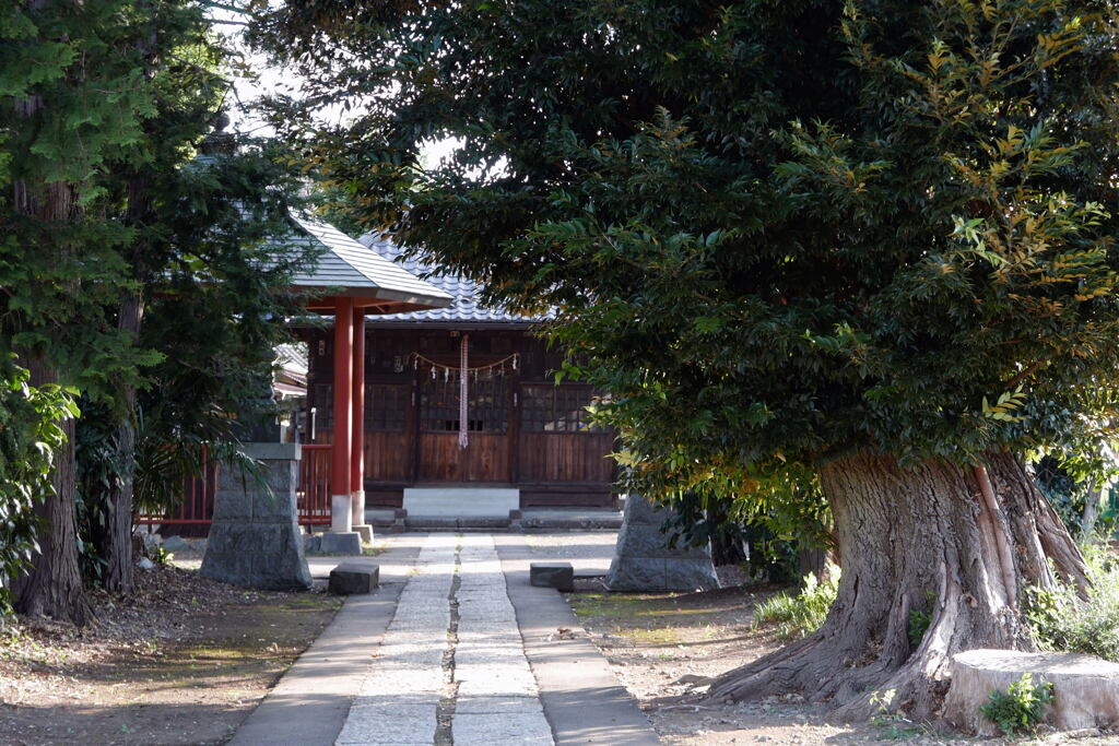  心 落ち着く ―2