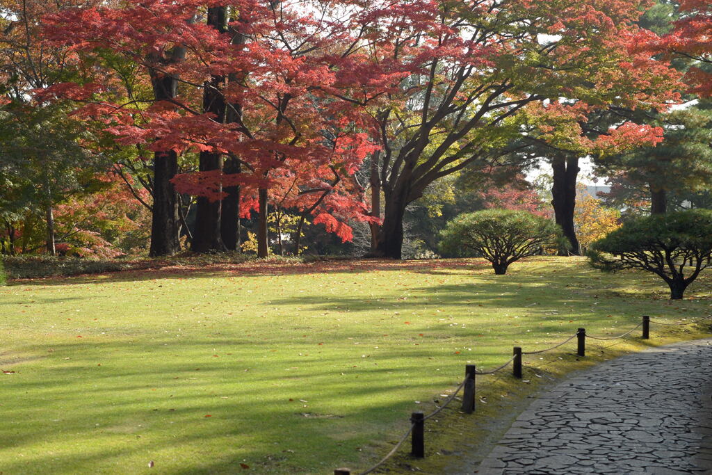 秋の 殿ヶ谷庭園―5