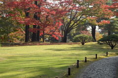秋の 殿ヶ谷庭園―5