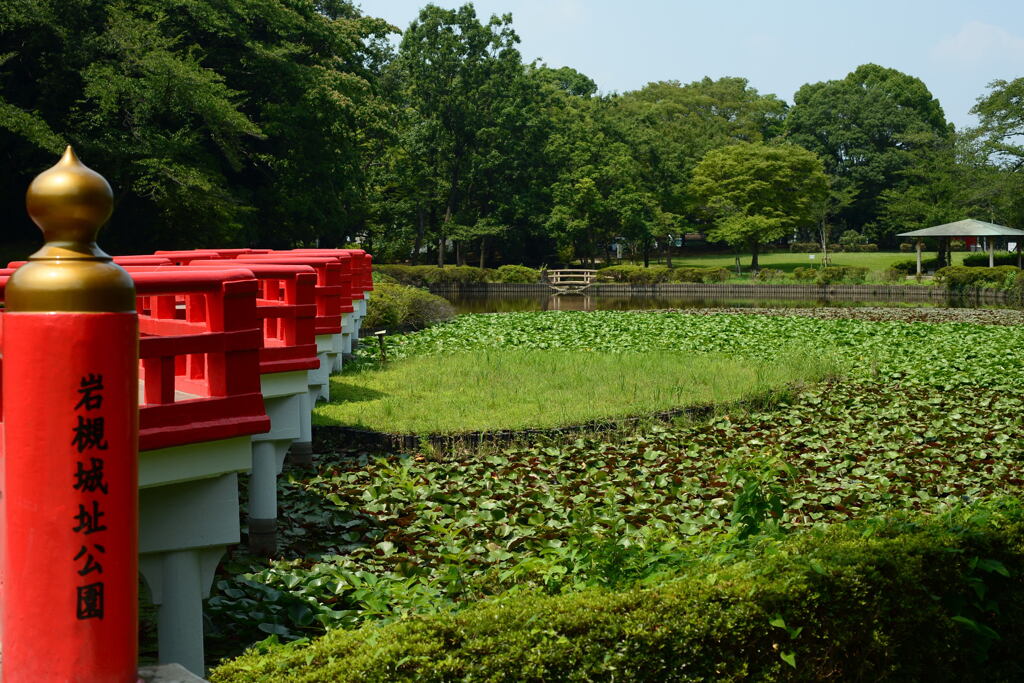  夏の城址公園で―1