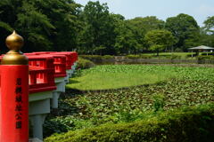  夏の城址公園で―1