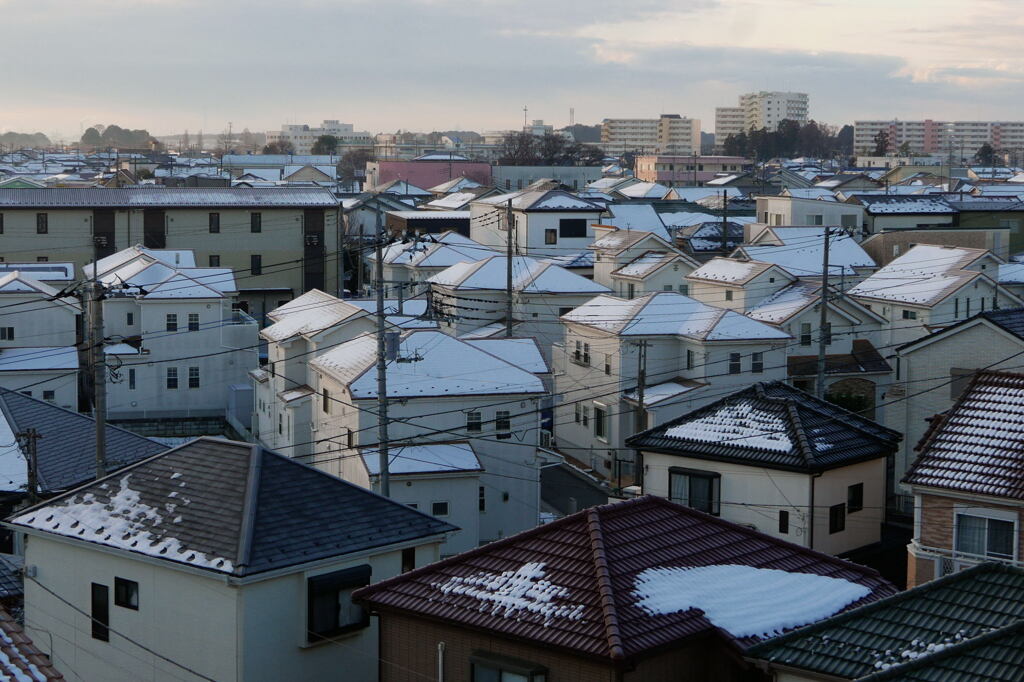 初雪  一夜明けて ―2