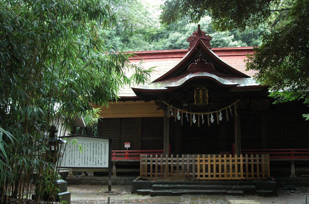 見沼田んぼ の神社 ―1