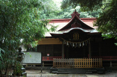 見沼田んぼ の神社 ―1