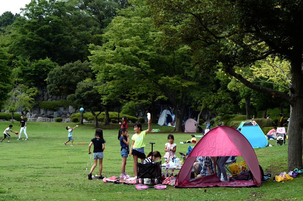 八月の一コマー2