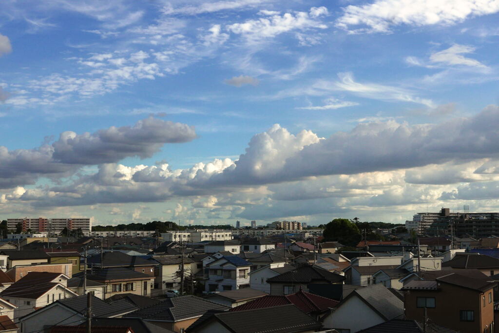 魅せられた夏雲―6