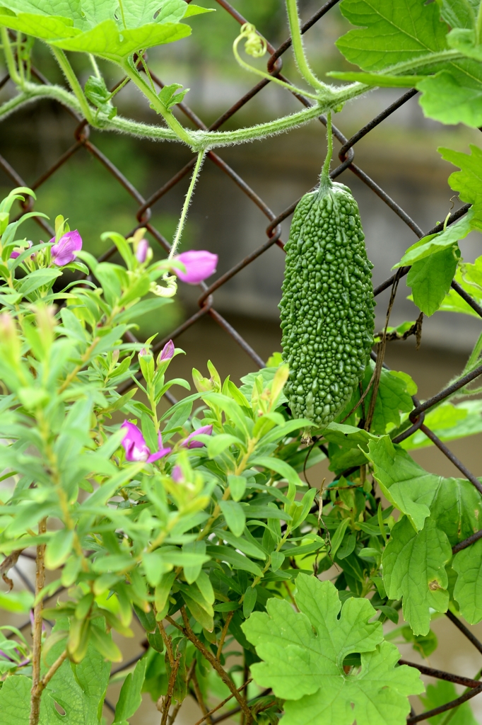 八月の記憶からー1