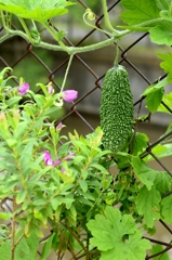 八月の記憶からー1