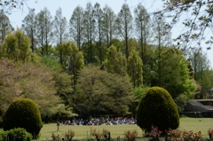 子供たちの楽園ー1