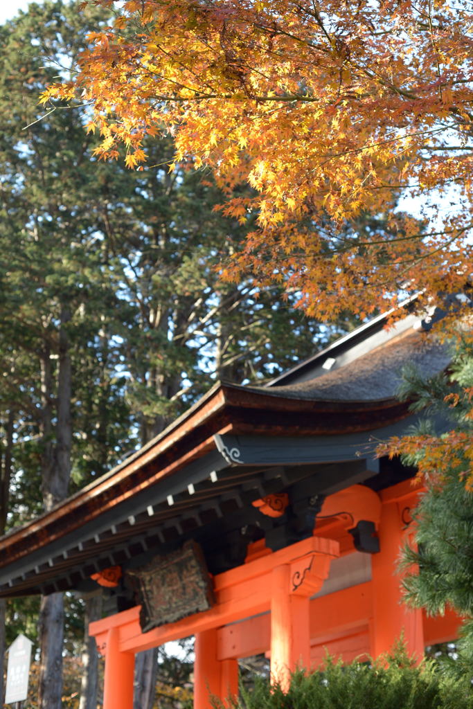 恵林寺－１