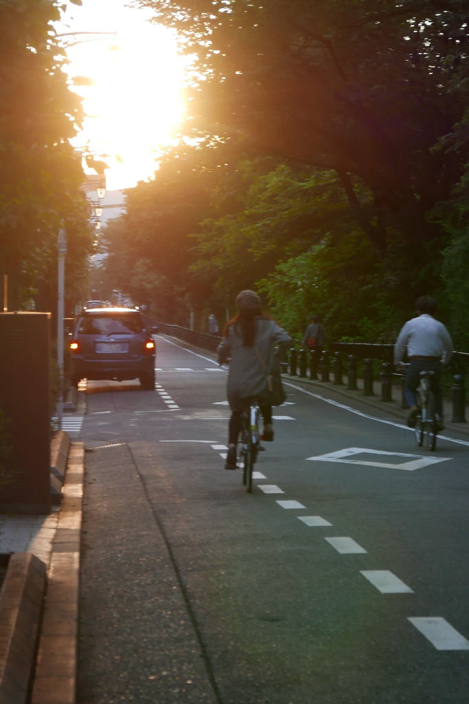 玉川上水の遊歩道