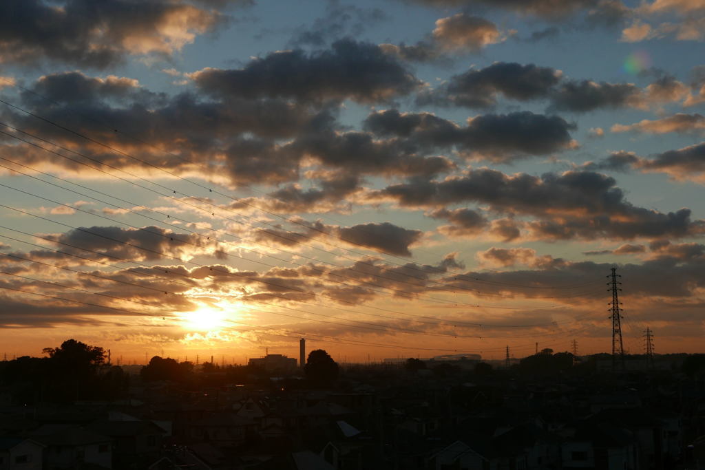 朝の光りー1