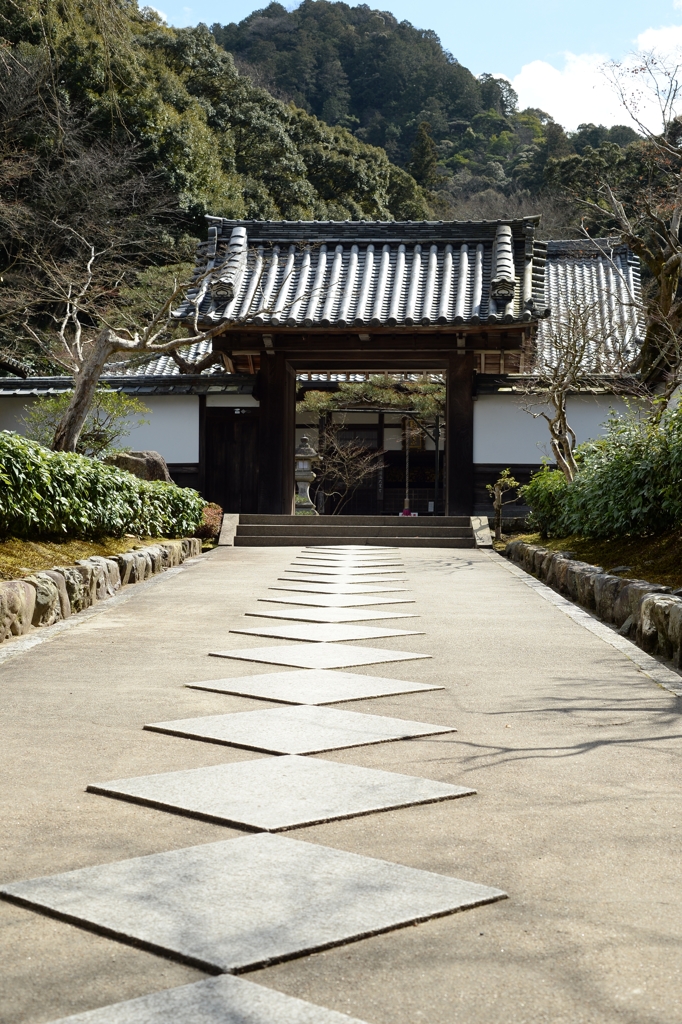 春待つ南禅寺辺りー5