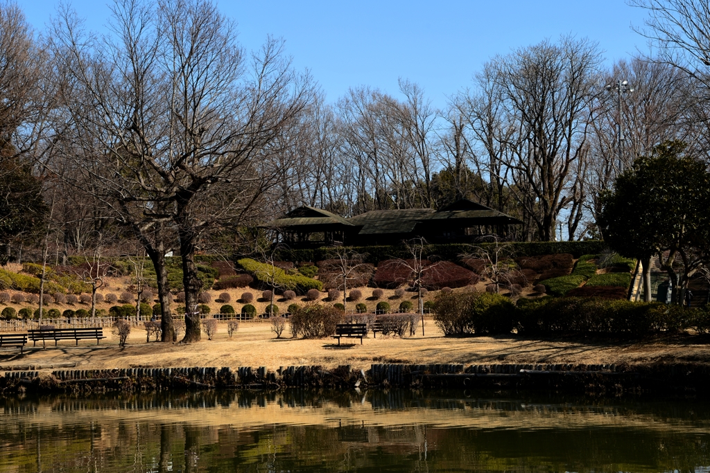 暖かな公園で-1