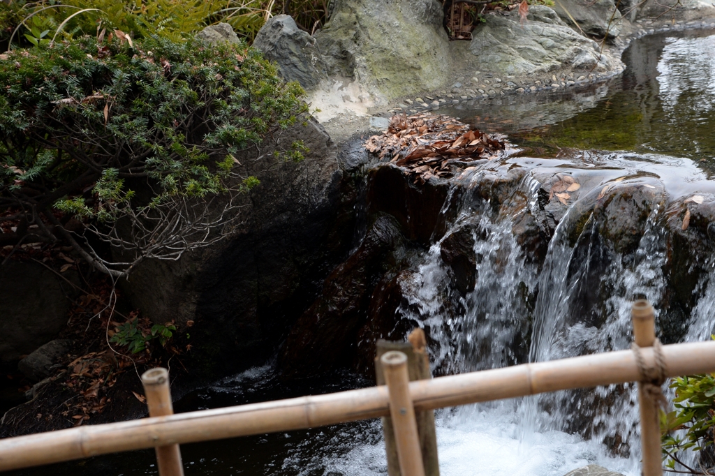 初冬の公園でーｄ