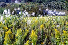 勢力争い始まる