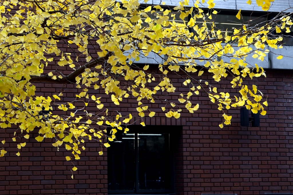 上野の美術館で-1