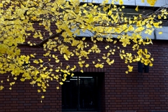 上野の美術館で-1