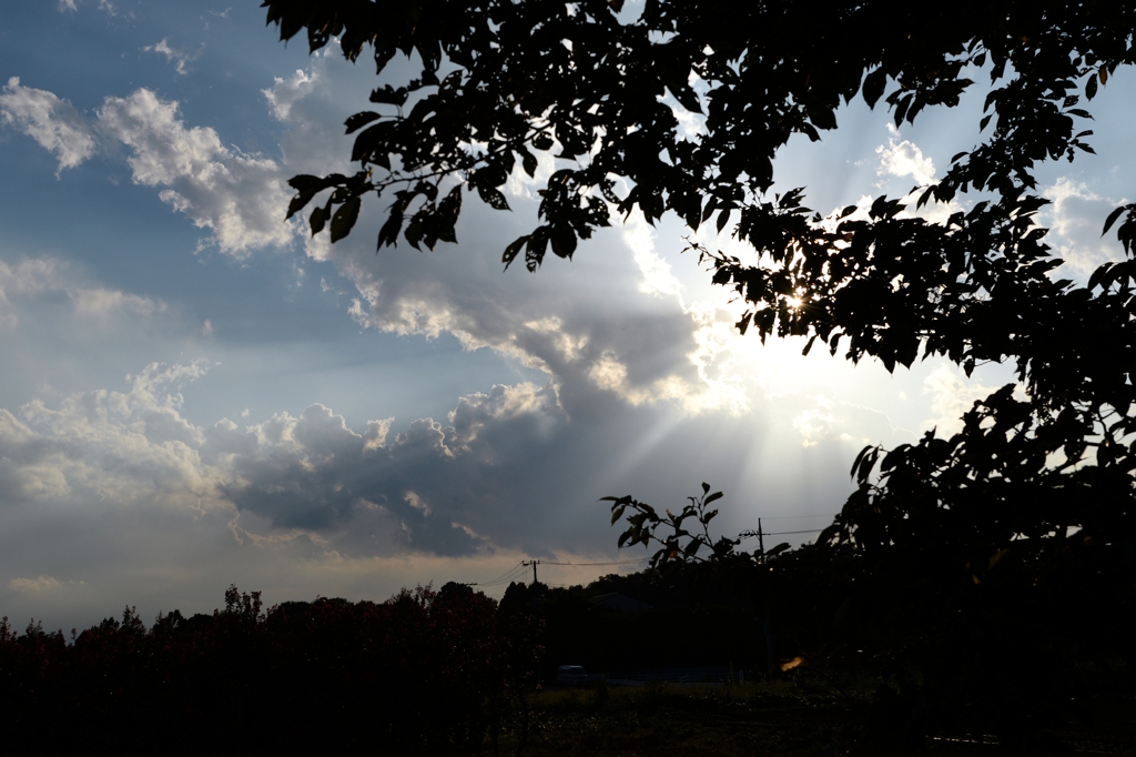 九月の陽射しー1