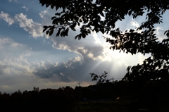 九月の陽射しー1