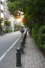 玉川上水の遊歩道