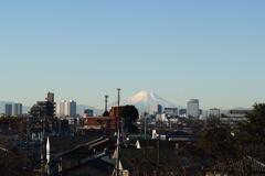 朝 の 富 士 