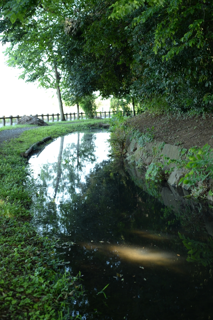 田植えが近いー2