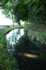 田植えが近いー2