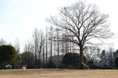  待ち遠しい 春 ―1