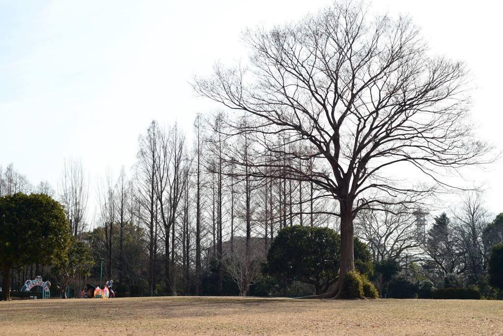 スリムにー2