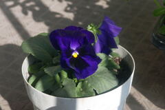 ベランダ から ―2