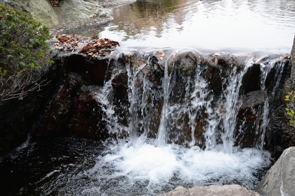 初冬の公園ー２
