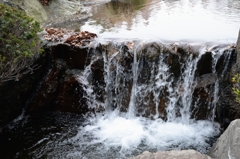 初冬の公園ー２