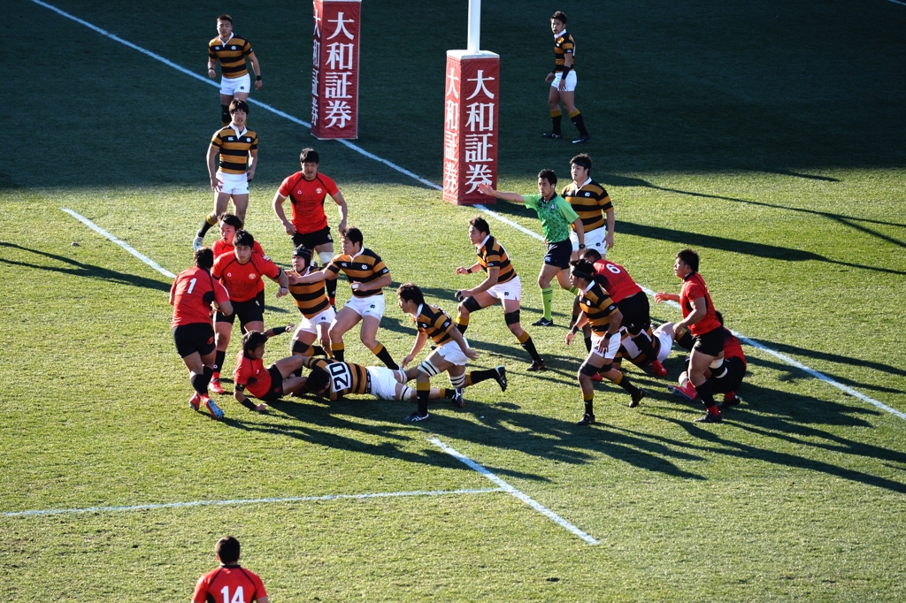 １月２日神宮外苑ー２